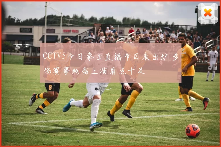 CCTV5今日拳击直播节目表出炉 多场赛事轮番上演看点十足