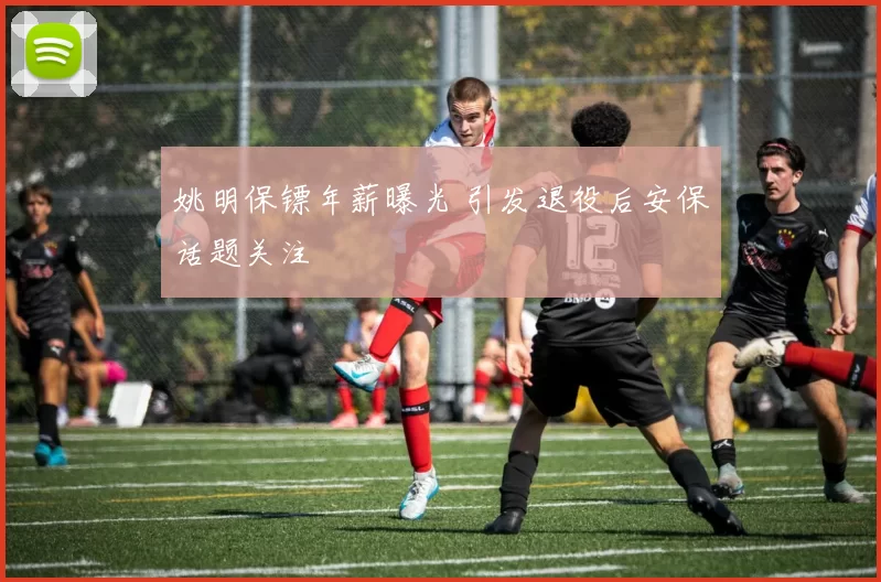 姚明保镖年薪曝光 引发退役后安保话题关注