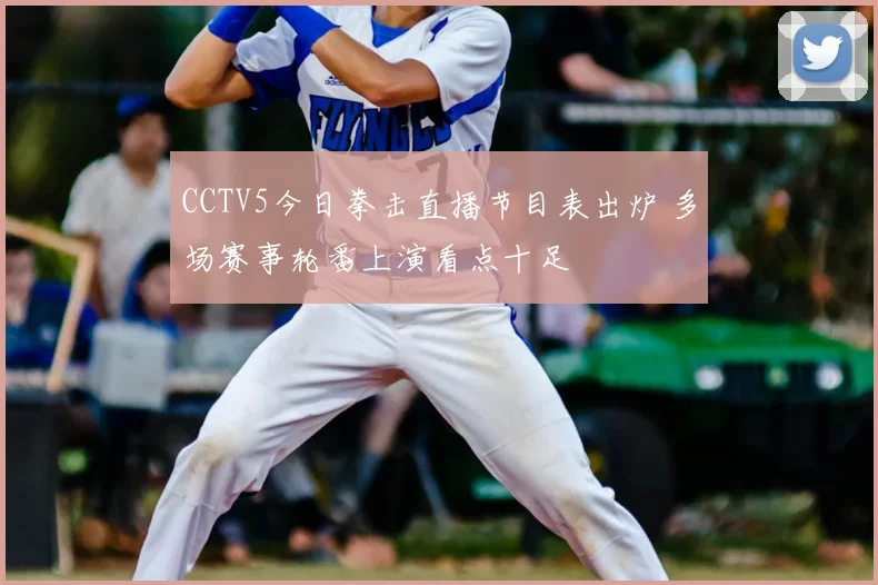 CCTV5今日拳击直播节目表出炉 多场赛事轮番上演看点十足